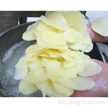 20-50 barisan pengeluaran kentang separa automatik
